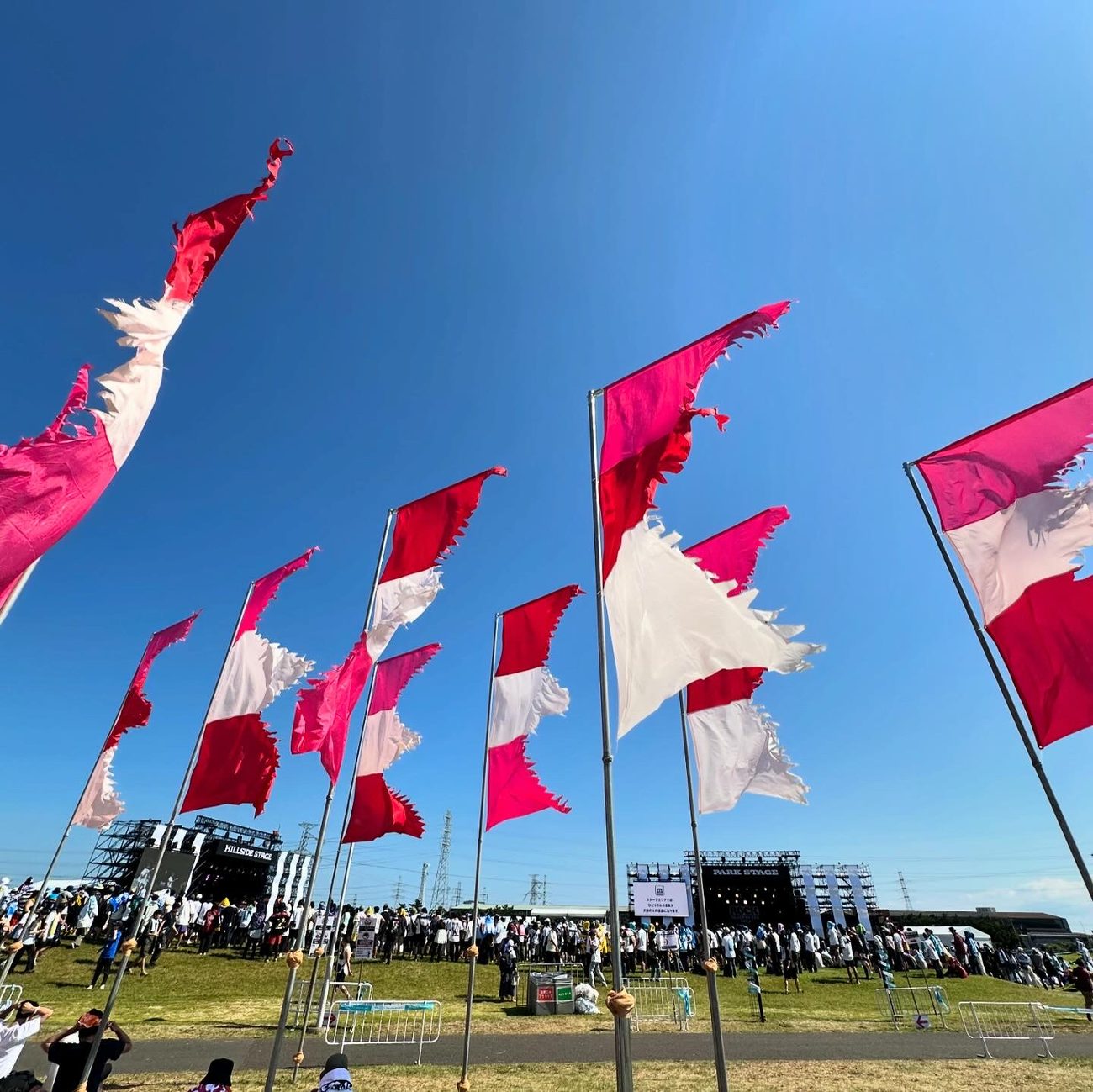 Flags